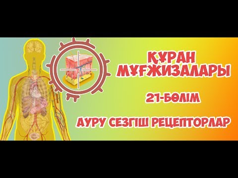 Видео: Құран мұғжизалары 21: Ауру рецепторлары ᴴᴰ