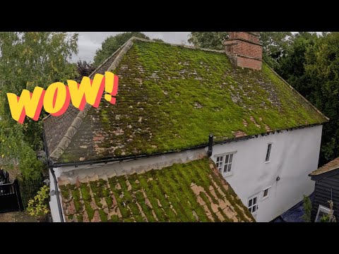 Видео: Я удаляю ШОКИРУЮЩЕЕ количество наростов, прежде чем мох полностью РАЗРУШИТ эту крышу!