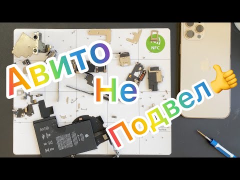 Видео: Смотри что берешь - Авито "Не подвел"!