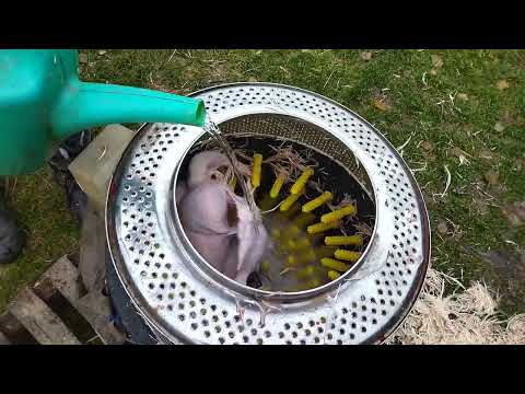 Видео: 29 октября 2025 г.