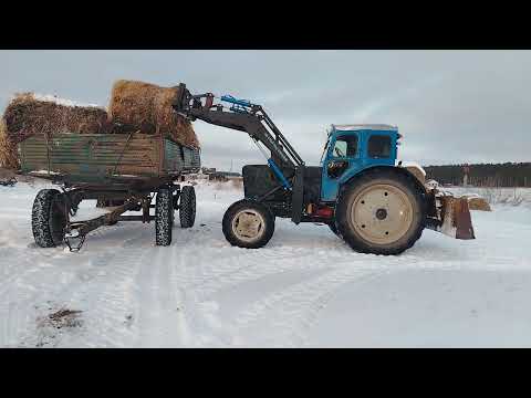 Видео: 4 февраля 2025 г.