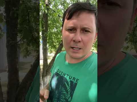 Видео: Конфетно-букетный период завершён 🙅🏻