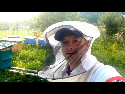 Видео: Міняю пасіку. Продаж вуликів