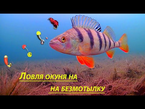 Видео: Как ловить на безмотылку