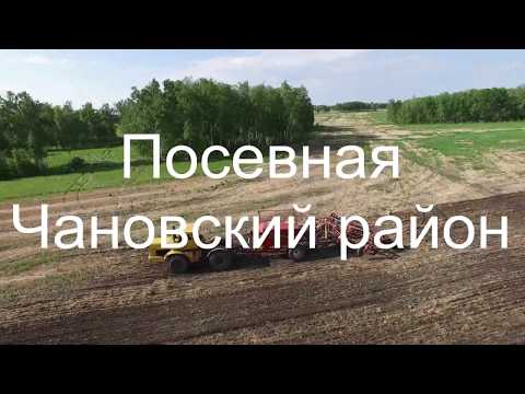 Видео: Портрет современника. Посевная. Чановский район.