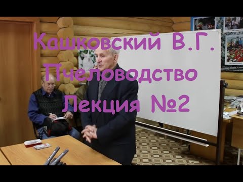 Видео: Кашковский В.Г. лекция № 2