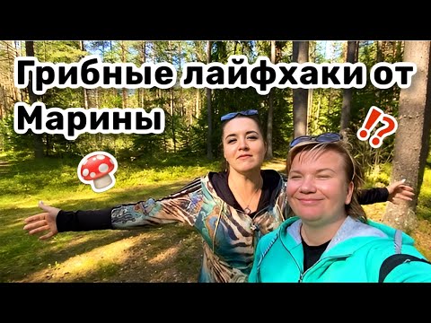 Видео: 🍄 12. Грибные лайфхаки от @LadyMary555. Почему мы поехали в лес, а не пошли по музеям?