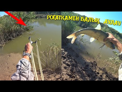 Видео: БАЛЫҚҚА КЕЛСЕМ СУДЫҢ БЕТІ ТОЛА АМУР