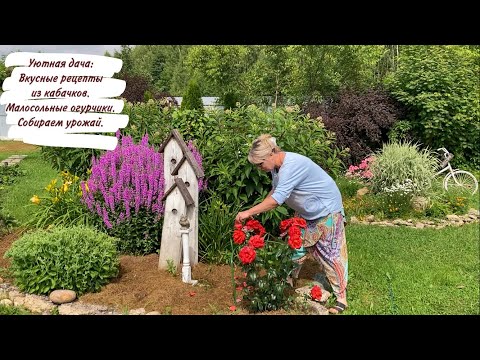 Видео:  Уютная дача: Вкусные рецепты из кабачков. Малосольные огурчики. Собираем урожай.