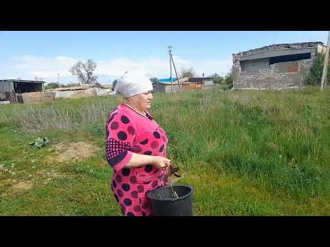 Видео: кролиководство.неординарное поведение крольчихи