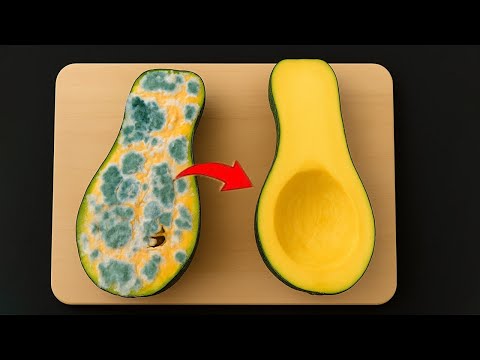 Видео: Секрет длительного хранения свежих овощей от шеф-повара изысканной кухни | Click DIY