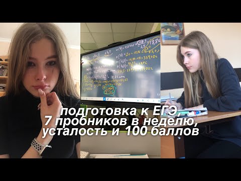 Видео: реальная жизнь ХИМБИО *решаю пробники каждый день*