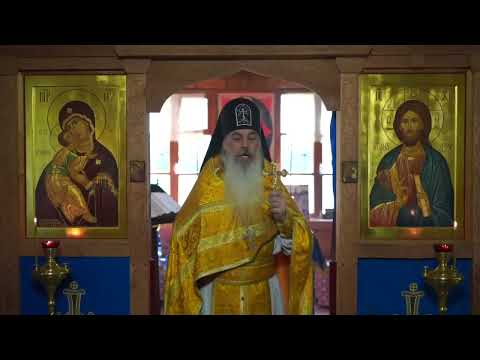 Видео: Нужен ли разум, чтобы познать Бога, или только любовь.