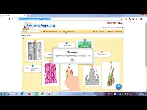 Видео: learningapps org сервисінде тапсырмалар дайындау   1 бөлім