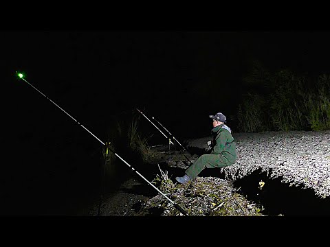 Видео: РЫБАЛКА С НОЧЕВКОЙ!!! КАК ОНА ЕСТЬ!!!
