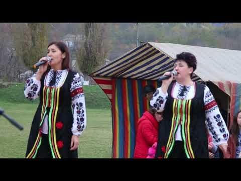 Видео: Концерт частина  2 -  продовження. с.Серби  "День села."