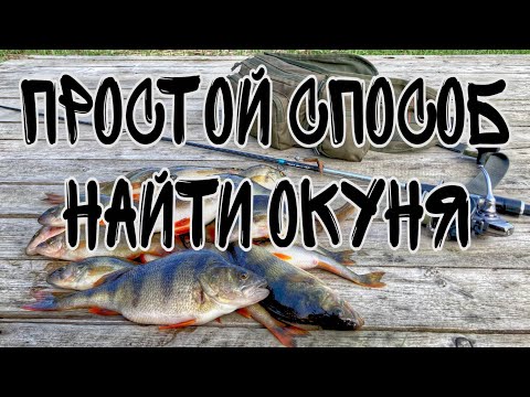 Видео: КАК НАЙТИ И ПОЙМАТЬ ОКУНЯ?! САМЫЙ ПРОСТОЙ СПОСОБ НАЙТИ ОКУНЯ..