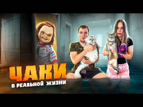 Видео: КУКЛА ЧАКИ В РЕАЛЬНОЙ ЖИЗНИ | 24 ЧАСА В ВАННОЙ С КОТАМИ ПЕРЕД ХЕЛЛОУИНОМ