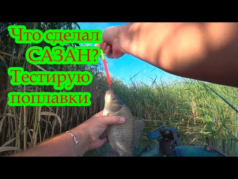 Видео: Ловля САЗАНА Карася на БЕЗОТКАЗНУЮ  СНАСТЬ поплавок МОРМЫШКА И МАСТЫРКА