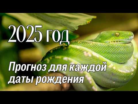 Видео: 2025 год: прогноз по каждой дате рождения 🔥 Нумерология