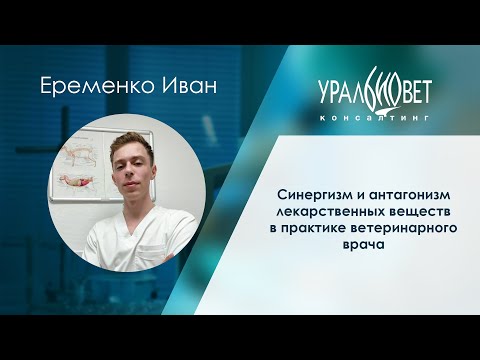 Видео: Синергизм и антагонизм лекарственных веществ в практике ветврача. Лектор Иван Еременко #убвк_терапия