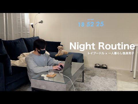 Видео: [Ночная программа] Будние вечера для холостяка и собаки/той-пуделя