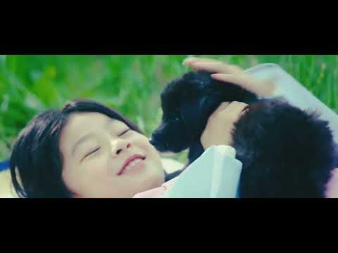 Видео: Герой второго плана |Ли Ран «Легенда о Кумихо»|