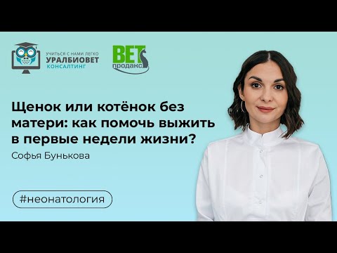 Видео: Щенок или котёнок без матери: как помочь выжить в первые недели жизни, лектор Софья Бунькова