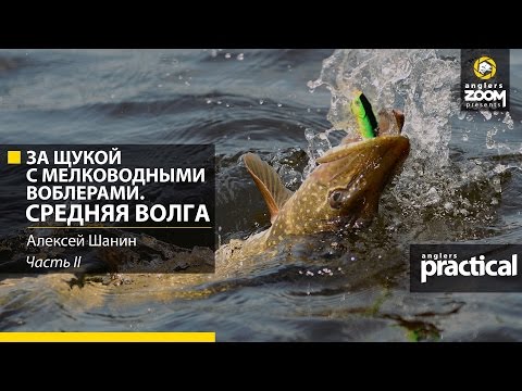 Видео: За щукой с мелководными воблерами. Средняя Волга. Часть 2. Anglers Practical.