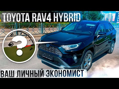 Видео: Toyota RAV4 Hybrid-Ваш Личный Экономист. Псков.