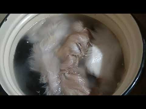 Видео: Проект "4 шкуры" или Вычинка козьих шкур, часть 1: отмока, мездрение, пикель.