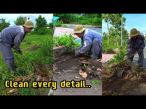 Видео: Очистить весь район - Удивительная трансформация