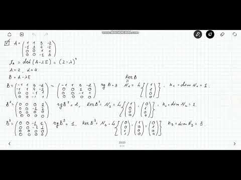 Видео: ЖНФ  Задача 3