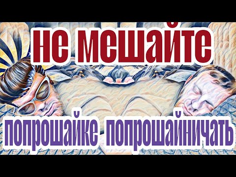Видео: Самвел Адамян инициатива наказуема.Не будите спящую собаку.Коля в шоке от находки в квартире Самвела