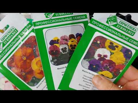Видео: Семена на 2026г. К сезону готова. 