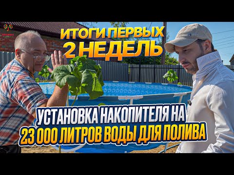 Видео: Итоги первых 2 недель после пересадки Установка накопителя на  23 000 литров воды для полива.