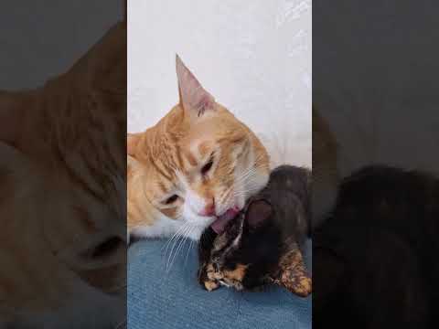 Видео: Рядом с тобой мне сносит крышу ❤️