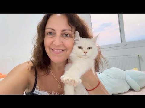 Видео: ЧТО У НАС СЛУЧИЛОСЬ Лечим Кота 