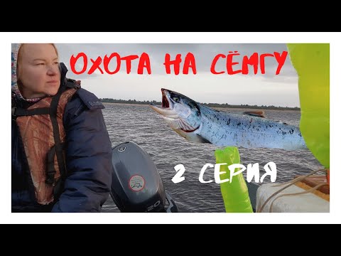 Видео: Охота на сёмгу на реке Мезень (Архангельская область) - 2 серия