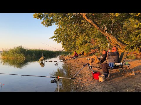 Видео: 🐠🐟 ПОПАЛИ в ЛИВЕНЬ в ЧЕРНОМ ЛЕСУ! РЫБАЛКА с ПРИКЛЮЧЕНИЯМИ! / КЕМПИНГ / ГРИЛЬ / УХА / ЖАРЕНАЯ РЫБА 🐠🐟