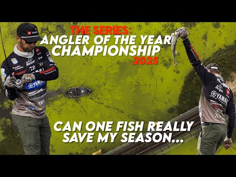 Видео: BMP FISHING: ЧЕМПИОНАТ РЫБОЛОВ ГОДА 2025