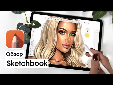 Видео: Обзор Sketchbook✍🏻 Интерфейс. Любимые кисти. Функции