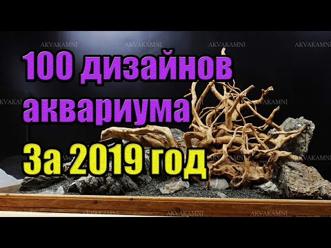 Видео: 100 вариантов дизайна аквариума. Хардскейпы за 2019 от Дмитрия Мамина