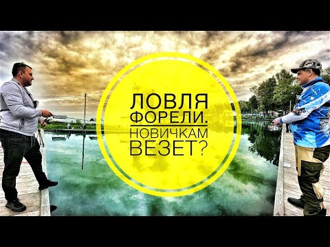 Видео: Ловля форели для начинающих. Новичкам Везет? Ловим форель на резину.
