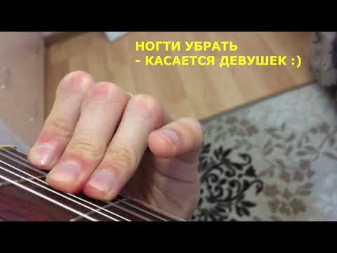 Видео: ЛЕВАЯ РУКА ГИТАРИСТА // Постановка левой руки