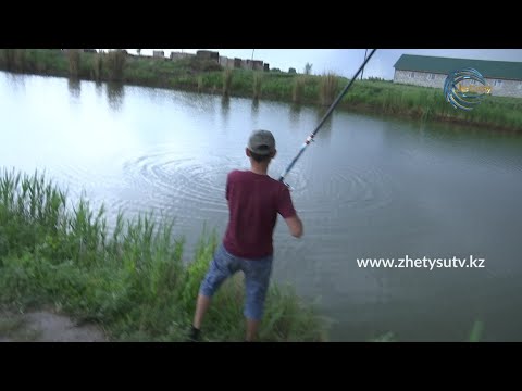 Видео: ОЛЖА - ДӨҢ МАҢДАЙ БАЛЫҚ / 30.05.21