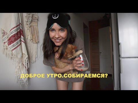 Видео: собираем Ксю в Португалию 🇵🇹