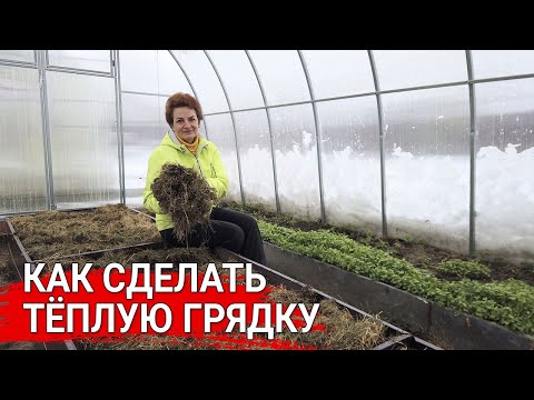 Видео: Как сделать тёплую грядку