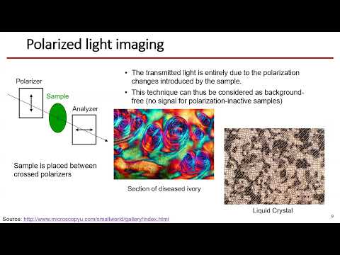 Видео: Татьяна Новикова, лекция "Биомедицинские приложения Мюллер поляриметрии", 08.07.2024