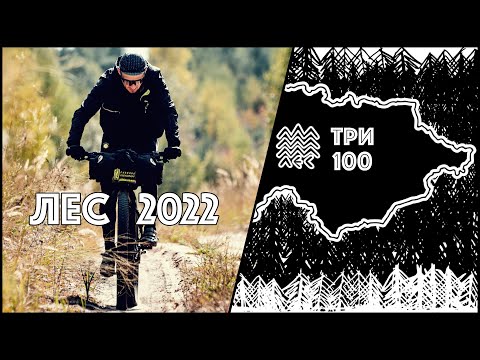 Видео: адвенча фэт рейс ЛЕС (AFR_LES), осень 2022, 2 дня, 300 км. Красивый осенний ЛЕС на память.